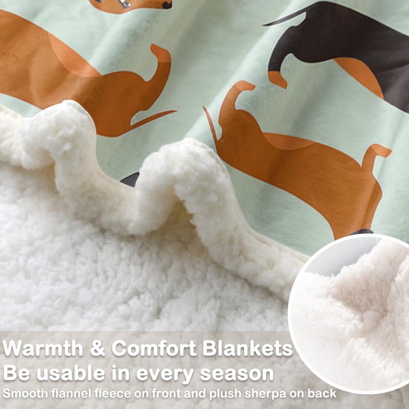 Sleepwish Dachshund Dog Fleece Throw Blanket, Soft Lightweight Sherpa Blanket for Couch Bed Sofa - Cozy Home Comfort Dachshund Gifts for Dog Lovers Women (Throw 50" X 60") - Image 4